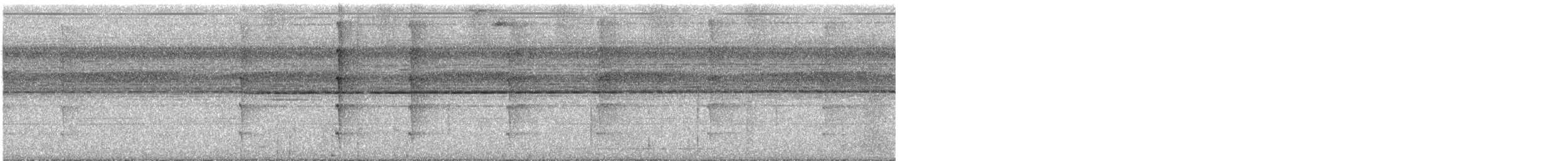 Maronenspecht - ML645151237