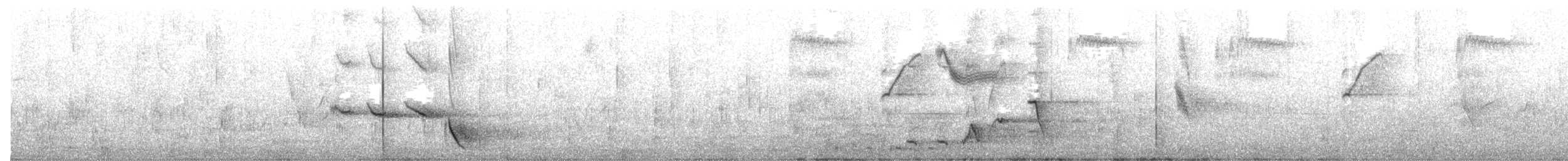 Weißzügel-Dickkopf - ML645151418