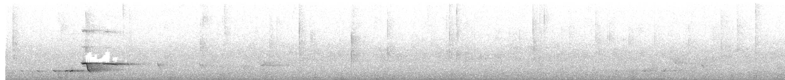 Weißzügel-Dickkopf - ML645151419