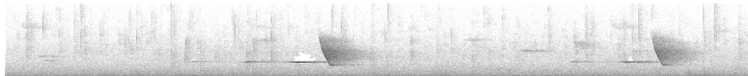 Gelbbauch-Dickkopf [pectoralis-Gruppe] - ML645151421