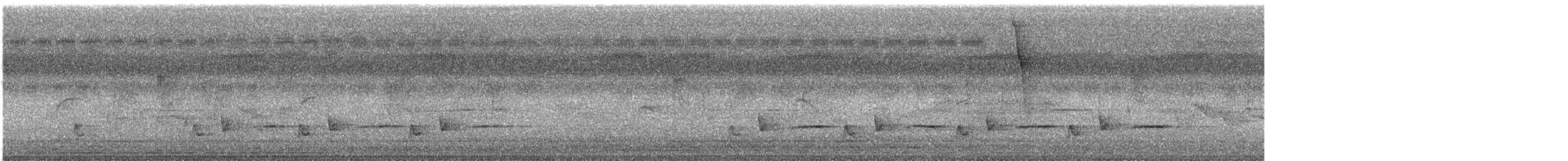 Rotschwanz-Schneidervogel - ML645151588