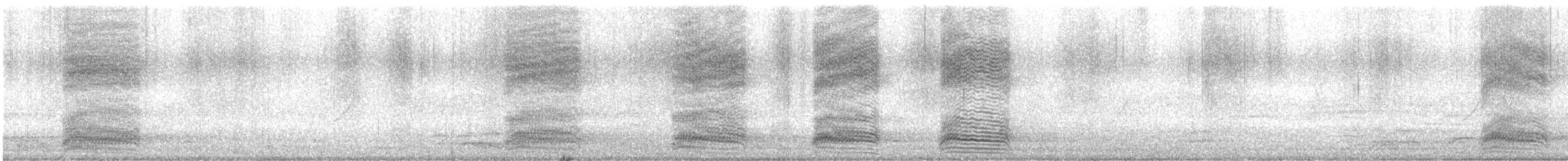 Nebelkrähe - ML645151620