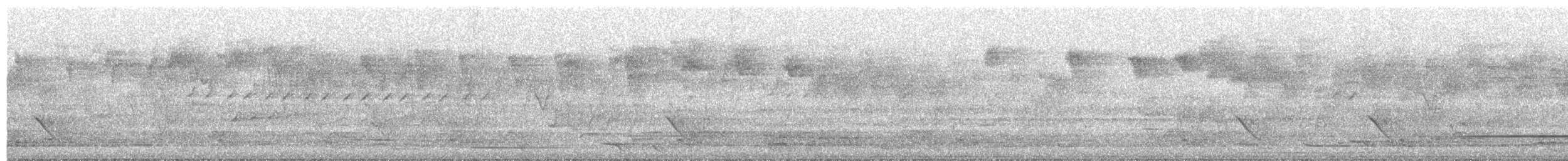 Fahlstirnsericornis - ML645151694