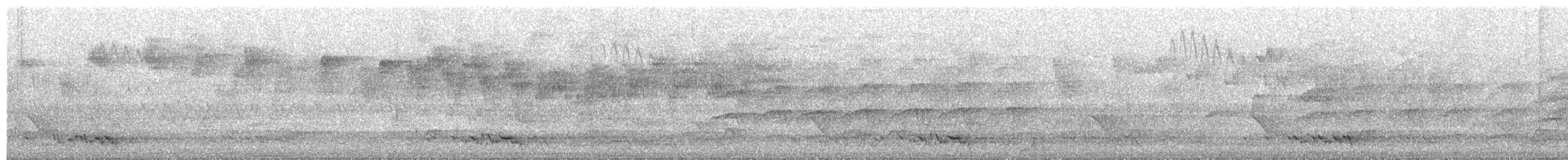 Streifenpirol - ML645151704