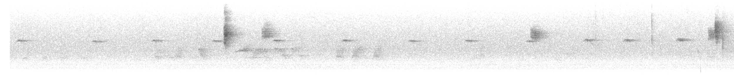 Spiegelrotschwanz - ML645151773