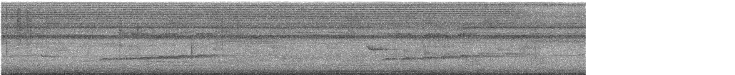 Geradschwanz-Drongokuckuck - ML645151832