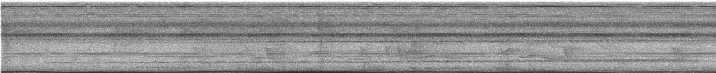 Black-and-yellow Broadbill - ML645151922