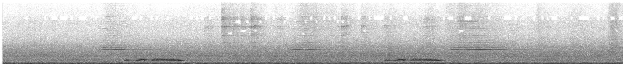 Spotted Dove (Eastern) - ML645151949