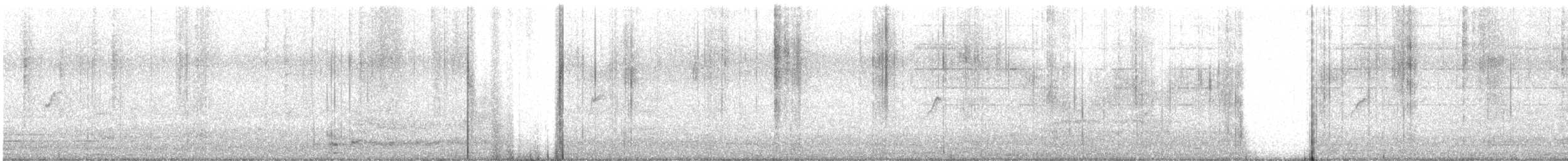 Common Chiffchaff - ML645151994