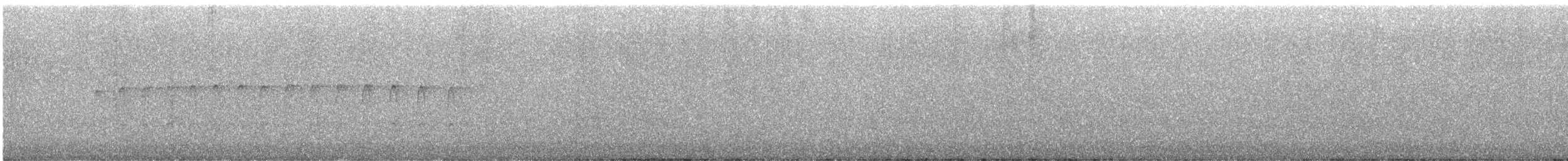 Picchio rosso maggiore - ML645152152