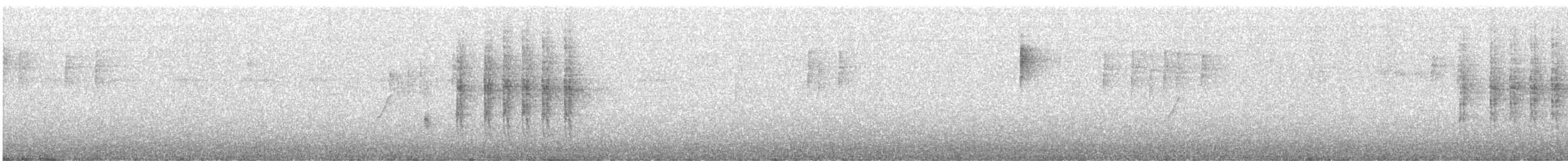 Occhiocotto - ML645152162