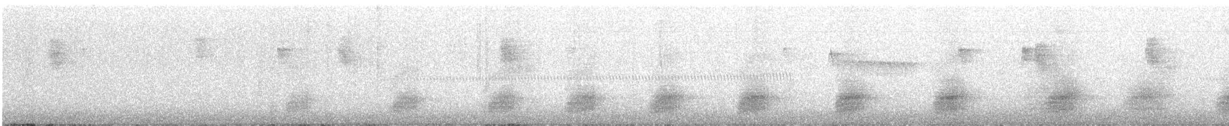 Germano reale - ML645152182