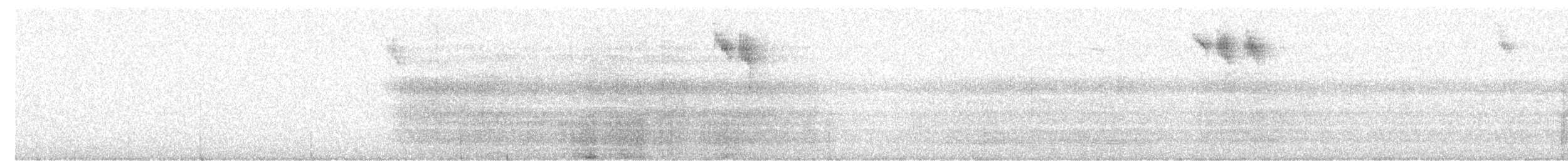 Southern Emuwren - ML645152199