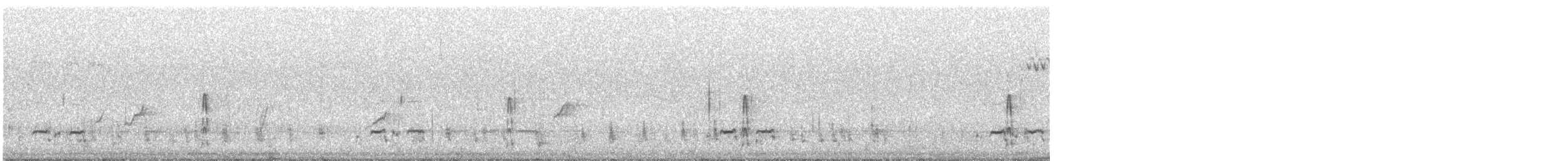 Averla meridionale - ML645152434