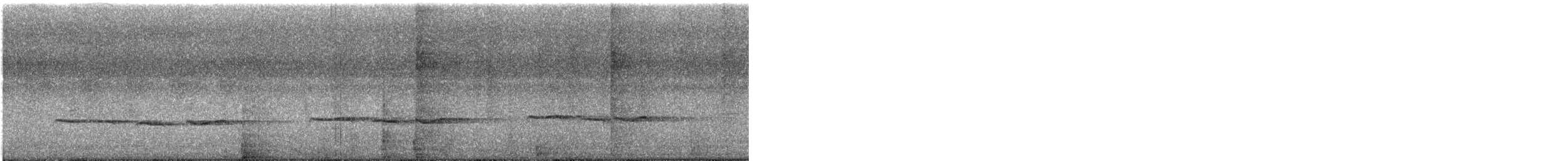 Plaintive Cuckoo - ML645152550