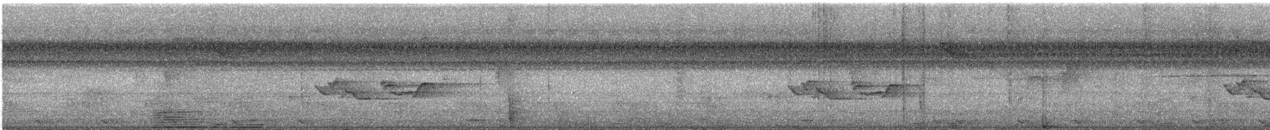 Puff-backed Bulbul - ML645152634