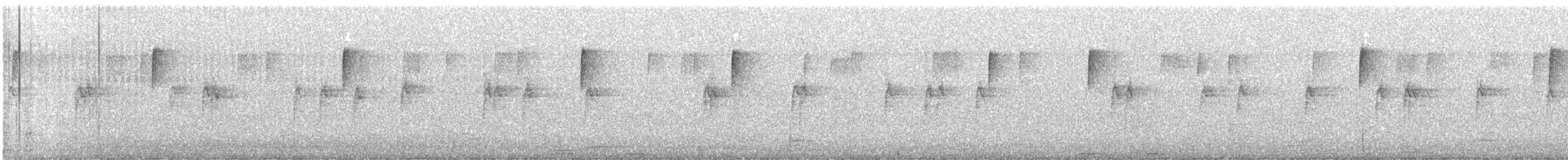 Белогорлая зонотрихия - ML645153322