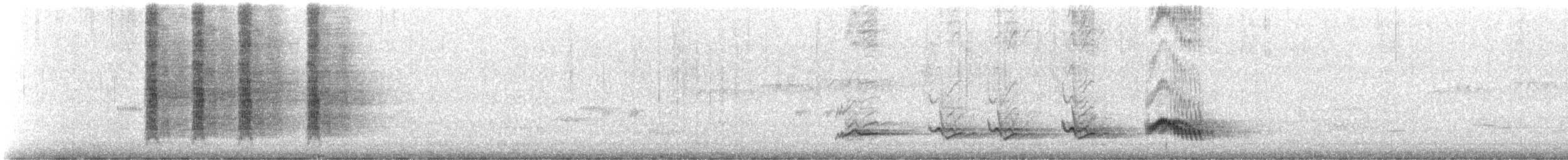 Бледногрудый дрозд - ML645153468