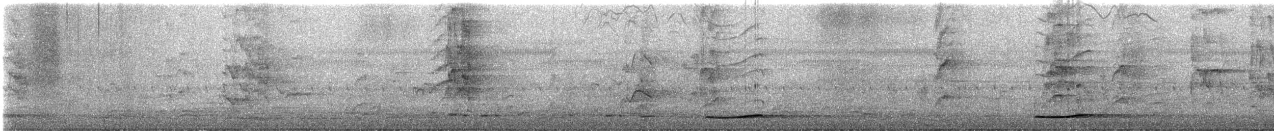 Тихоокеанский коэль (cyanocephalus/subcyanocephalus) - ML645153546