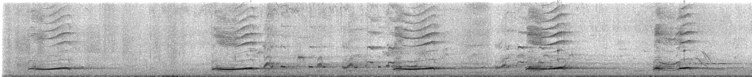 Тихоокеанский коэль (cyanocephalus/subcyanocephalus) - ML645153642