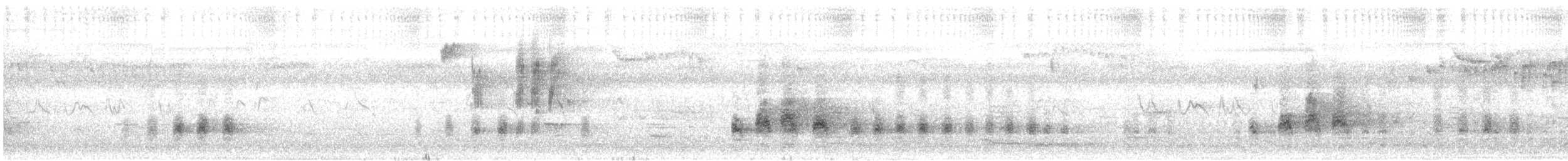 Восточный широкорот - ML645153749