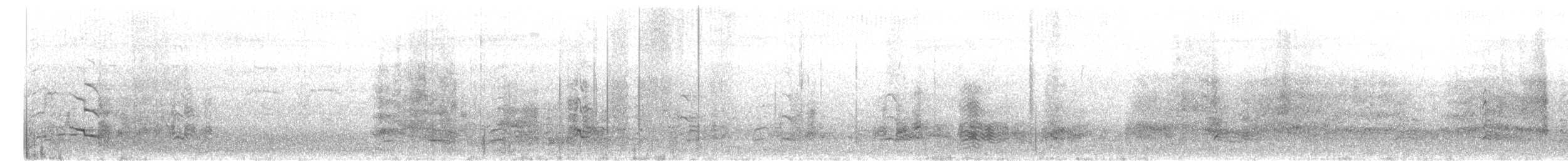 Cacatúa Fúnebre Coliamarilla - ML645154006