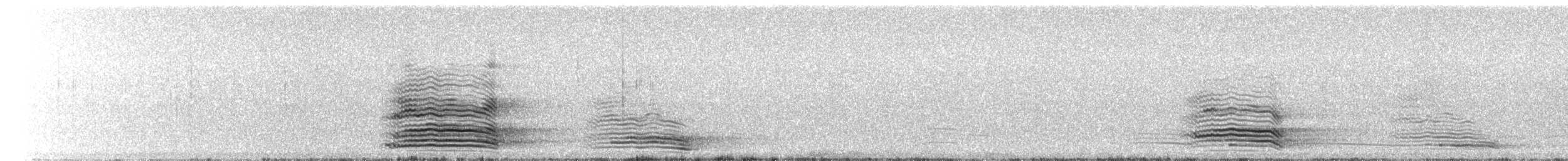 Крук австралійський - ML645154545