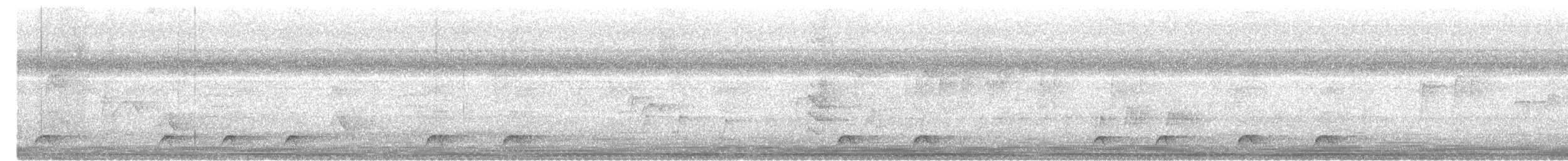 Піта західна - ML645154914