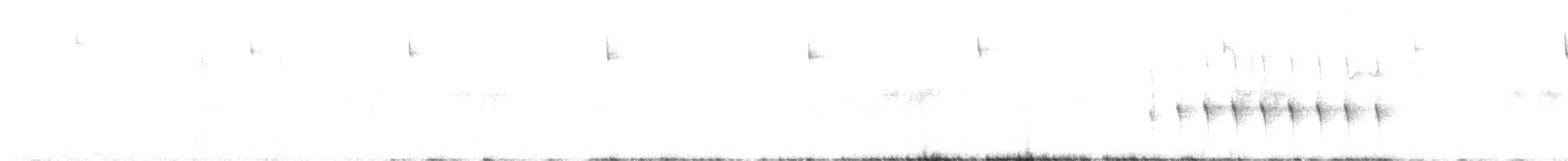 Землелаз аргентинський - ML645154935