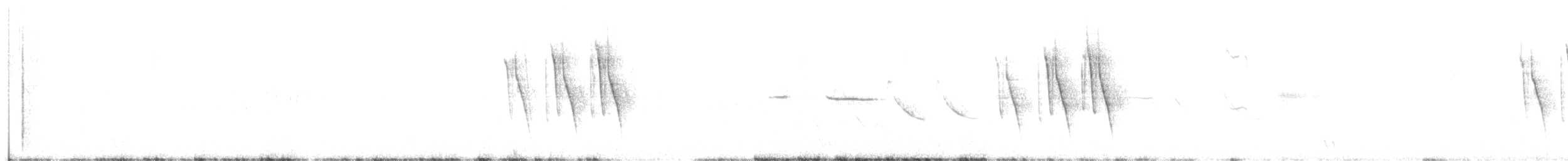 Свертушка білокрила - ML645154943