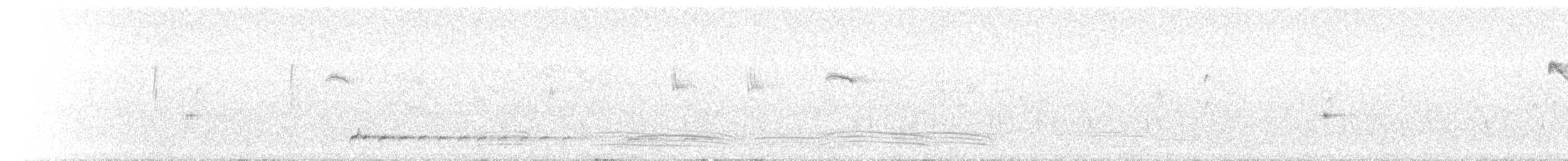 Королаз білобровий - ML645155114