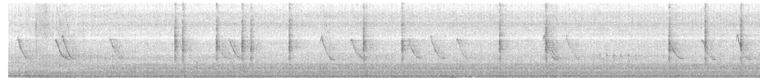 Шама білогочуба - ML645155124