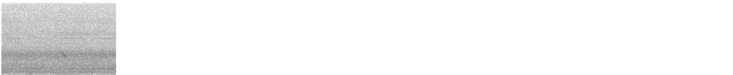 Gray-cheeked Thrush - ML645155663