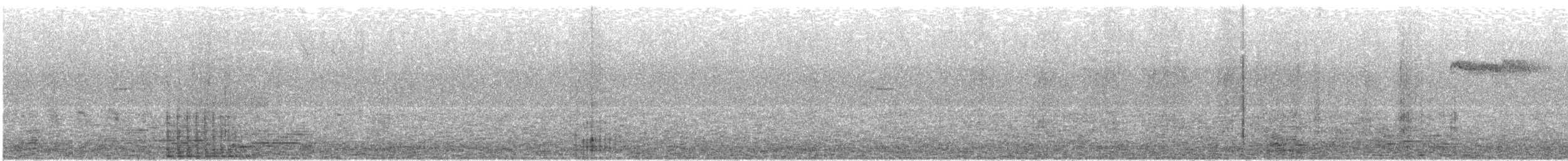 Great Spotted Woodpecker - ML645156102