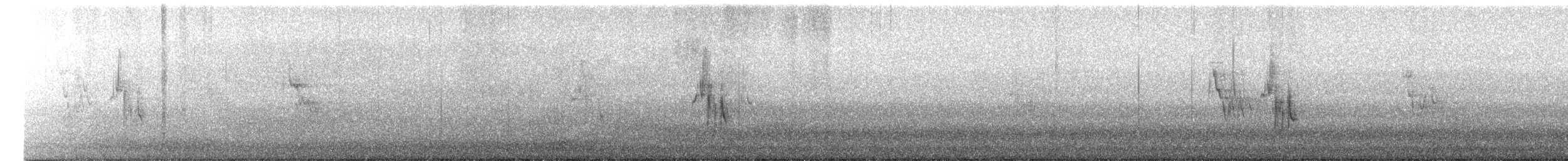 White Wagtail - ML645156400