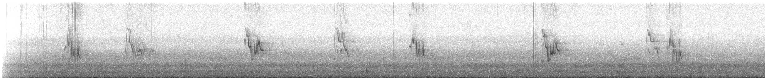 White Wagtail - ML645156403