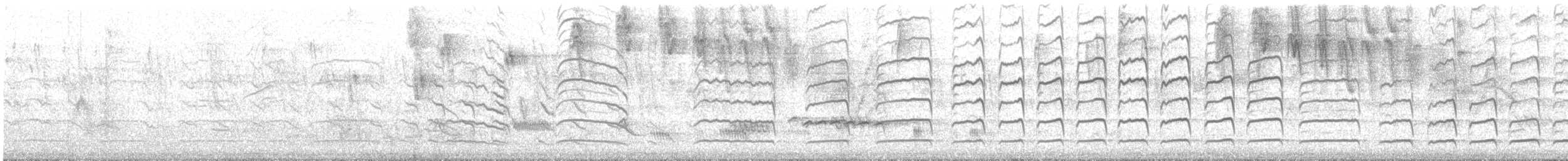 Guira Cuckoo - ML645156647