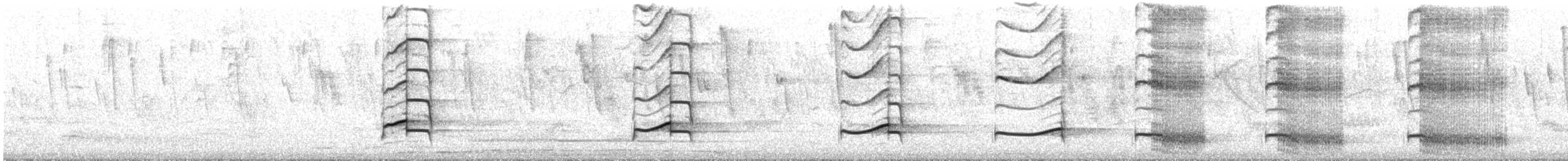 Guira Cuckoo - ML645156884