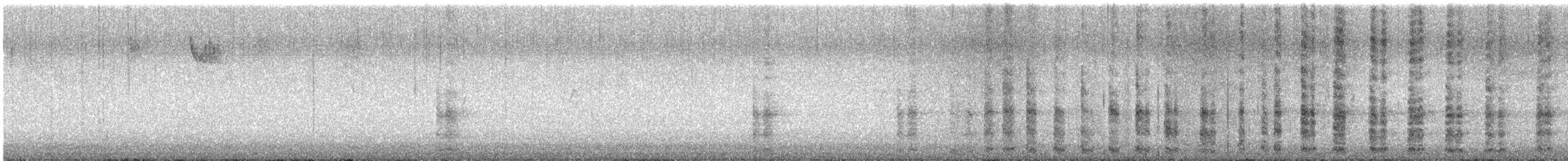 Ring-necked Pheasant - ML645157331