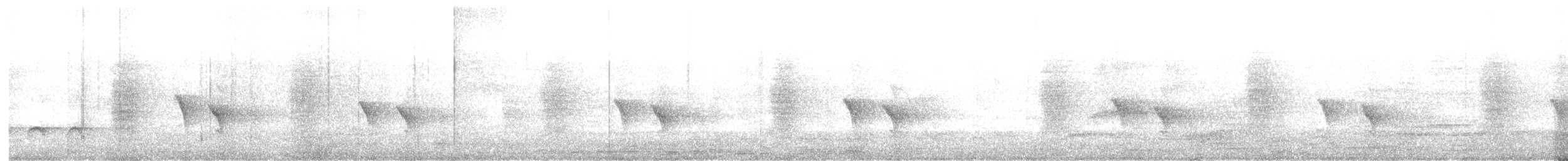 Ashy Drongo - ML645157451