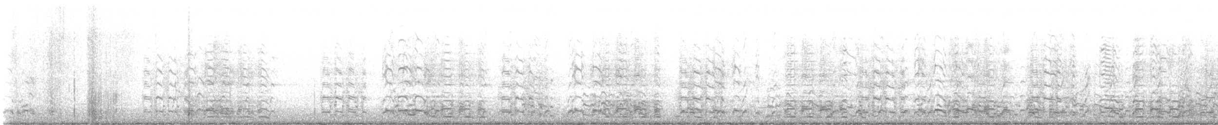 Greater White-fronted Goose - ML645157458