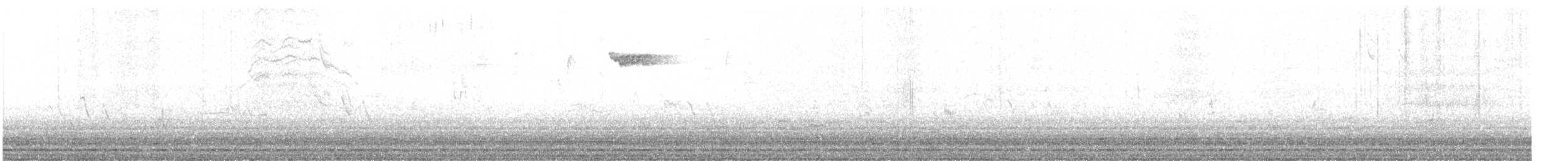 Brown Creeper - ML645158872