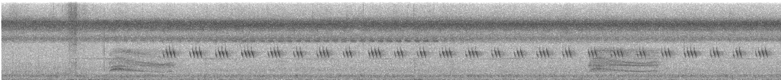 Sri Lanka Frogmouth - ML645159304