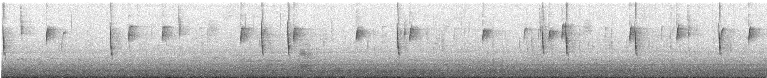 střízlík krátkozobý - ML645159612