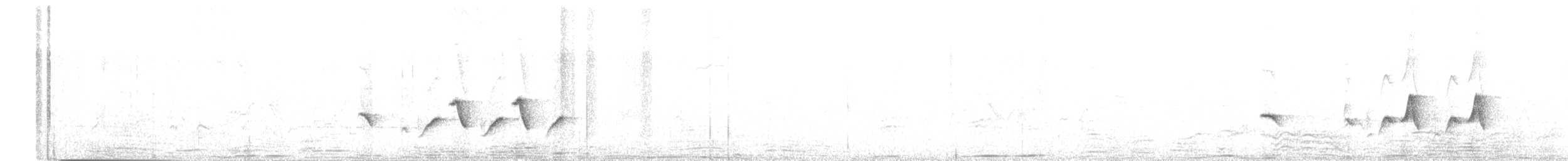 Pouillot de Bianchi - ML645159660