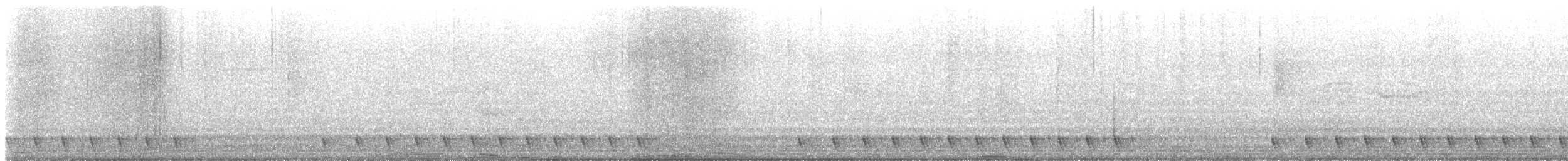 Engoulevent jotaka - ML645159668