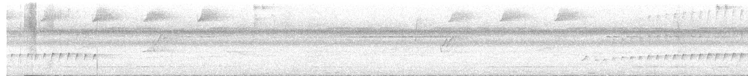 Silvered Antbird - ML645160301