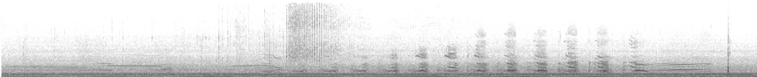 racek mořský - ML645160372