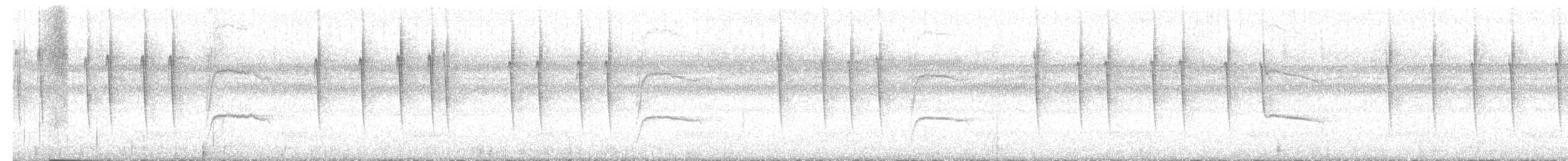 Black-throated Antbird - ML645160653