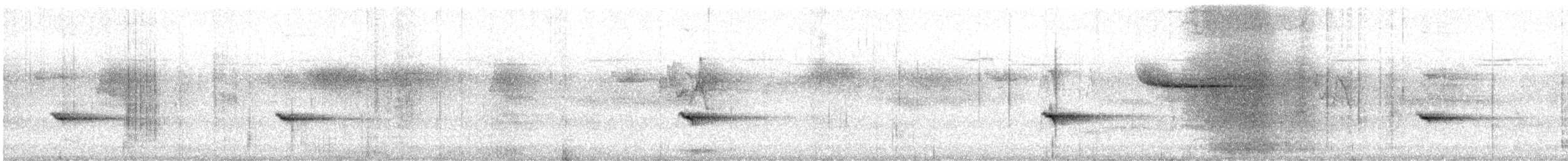 White-browed Shrike-Babbler (Blyth's) - ML645160893